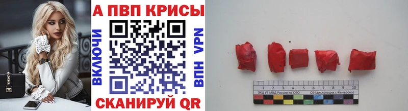 Альфа ПВП СК КРИС  Бирюч 
