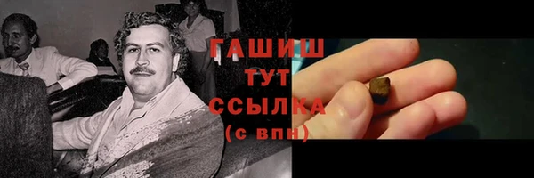 МДПВ Ветлуга